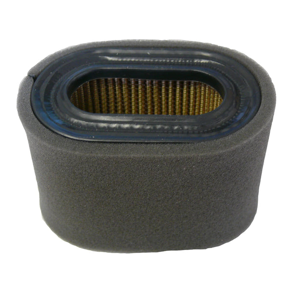 Air Filter - A1231/1