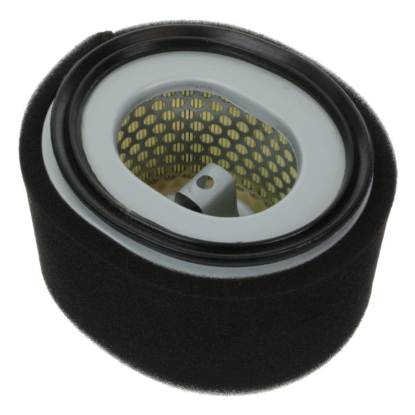 Air Filter fits Yanmar L100N