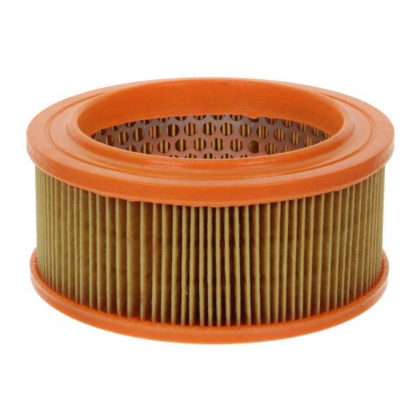 Air Filter fits Lister Petter ST & Benford