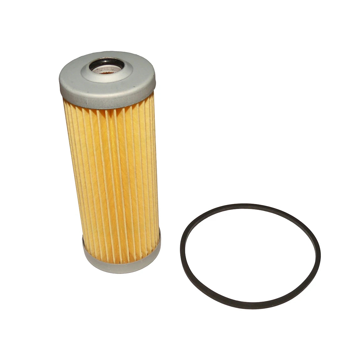 Fuel Filter + 'O' Ring