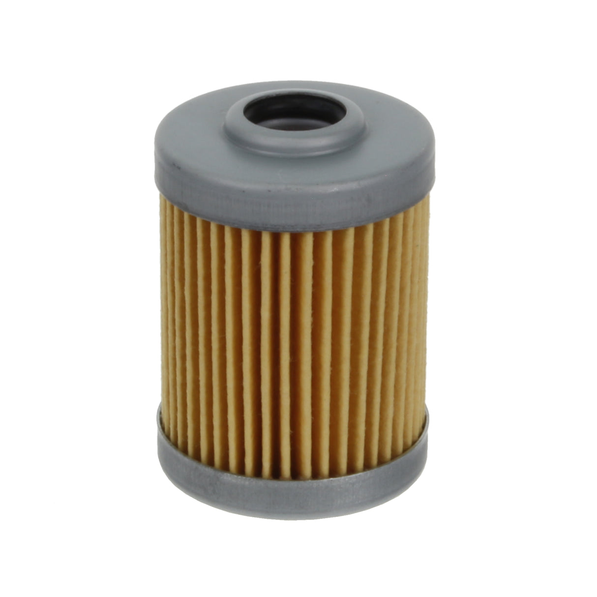 Fuel Filter - F202