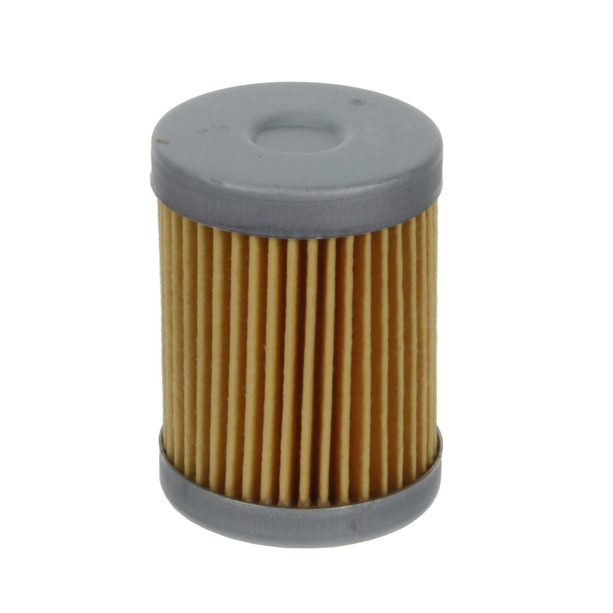 Fuel Filter - F202