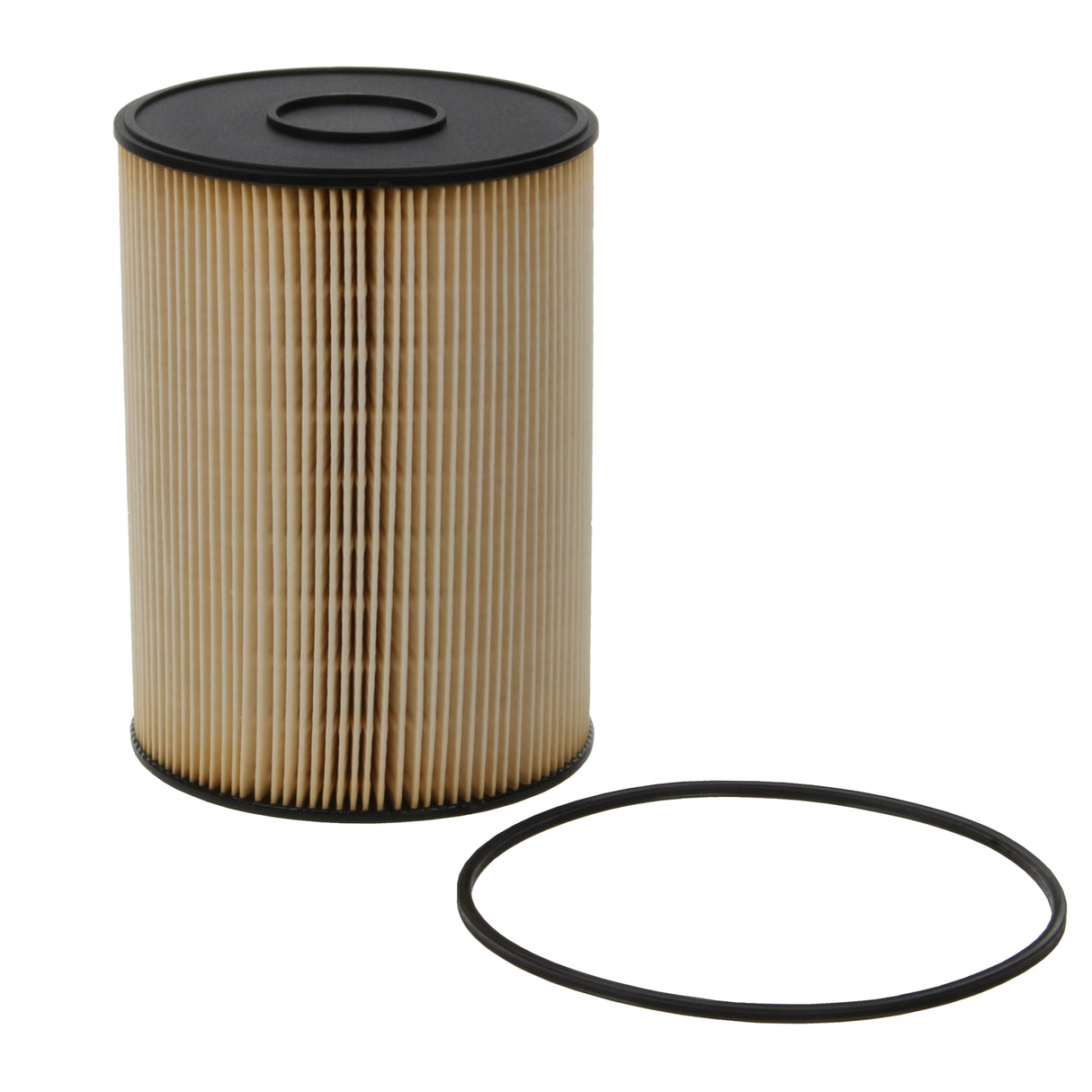 Fuel Filter - F21200