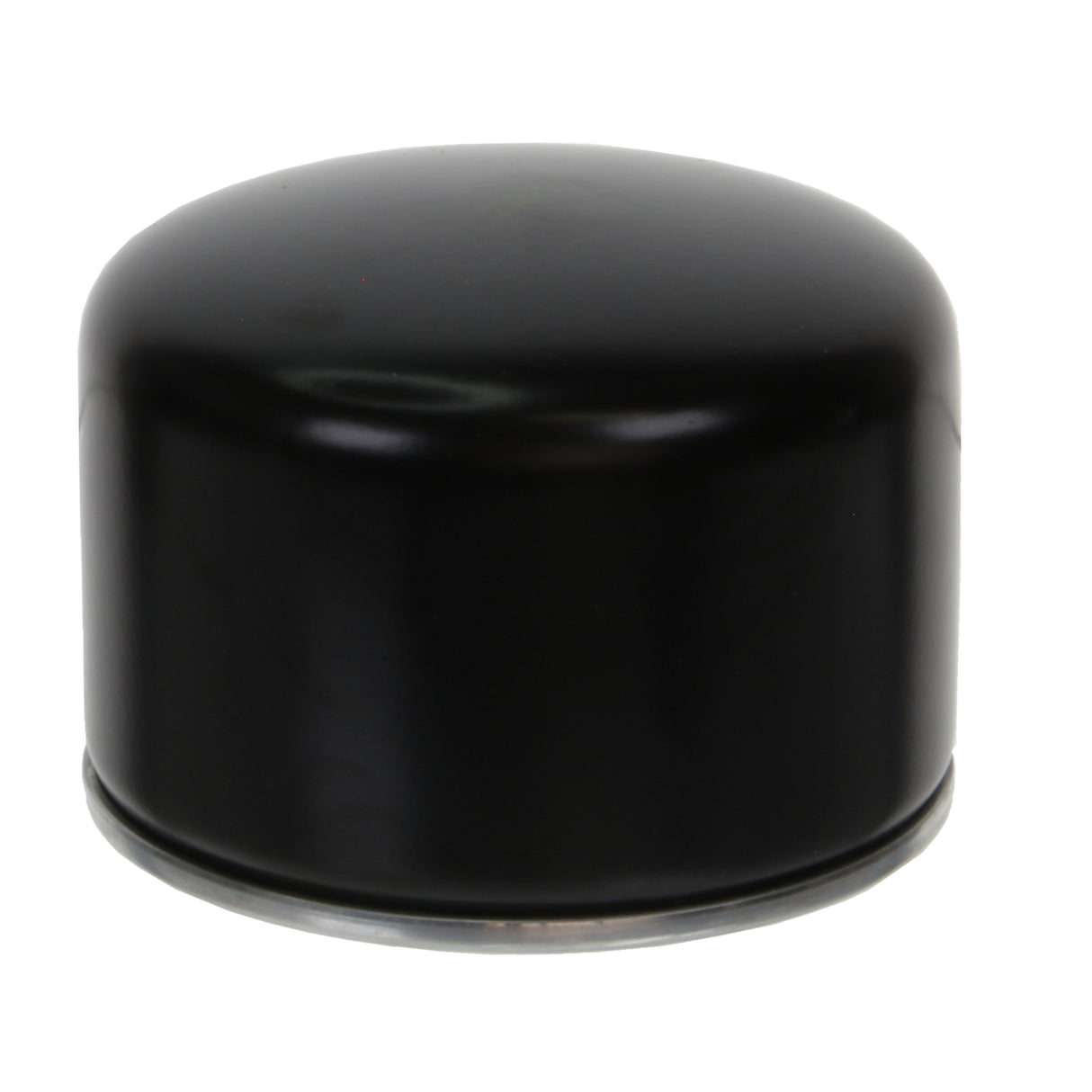 Oil Filter - P30329