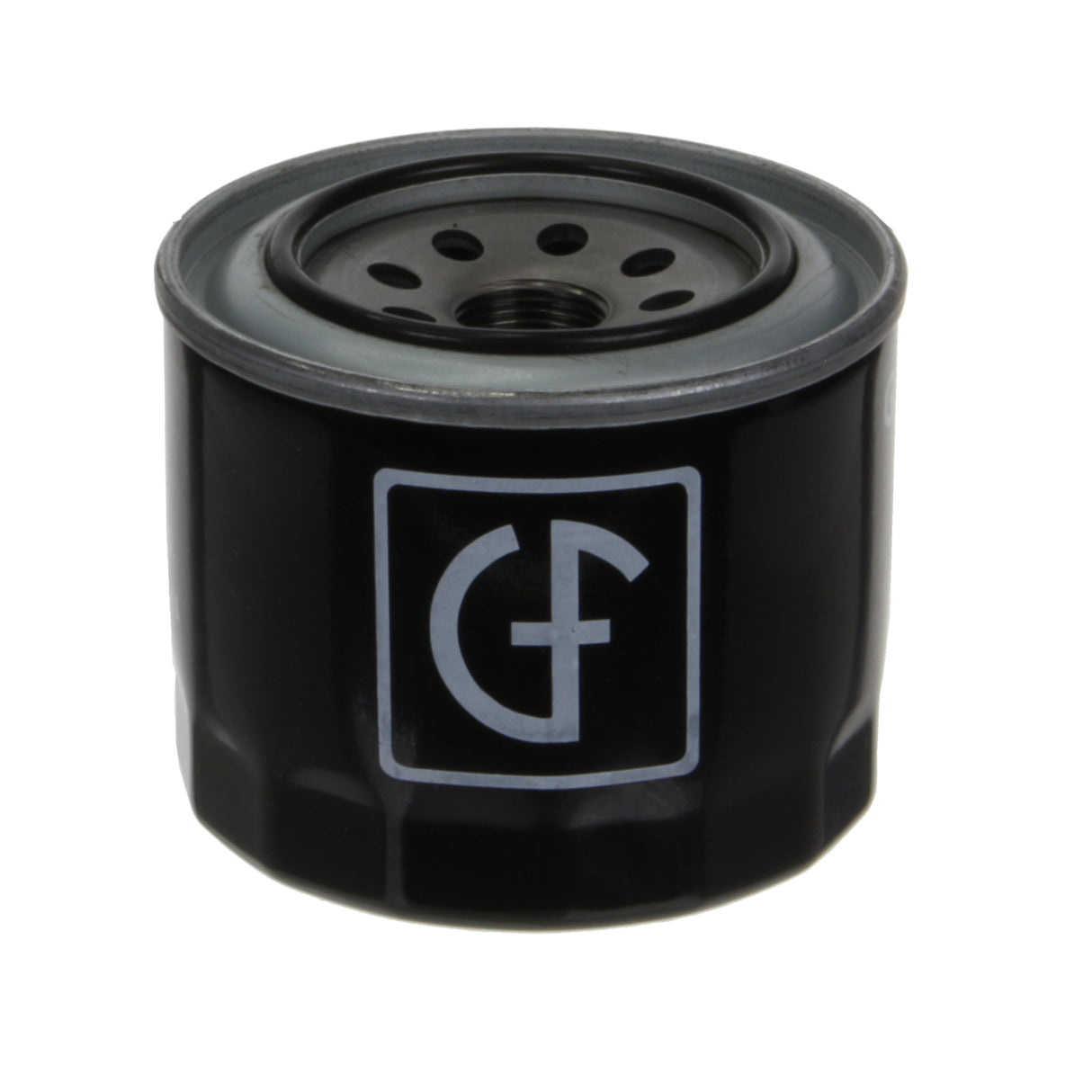 Fuel Filter - S405