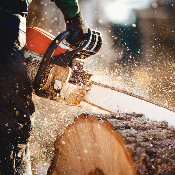 Chainsaw Parts