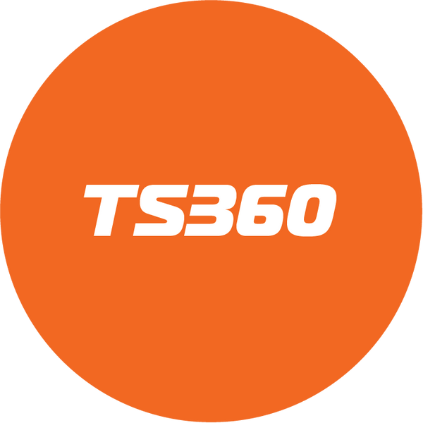 Stihl TS360 Parts