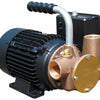 Jabsco P40 110V Oil Transfer Pump thumbnail 1