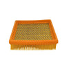 Air Filter fits Lombardini Replaces 2175.273 thumbnail 1