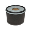 Air Filter - A1010 thumbnail 1