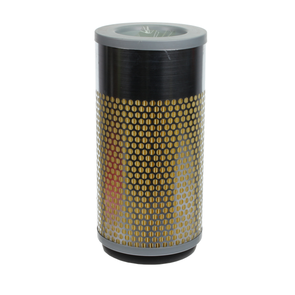 Air Filter - A12365