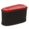 Air Filter fits Castelgarden / Mountfield thumbnail 1