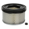 Air Filter fits Lombardini 15LD400 15LD440. Replaces 2175.3060 thumbnail 1