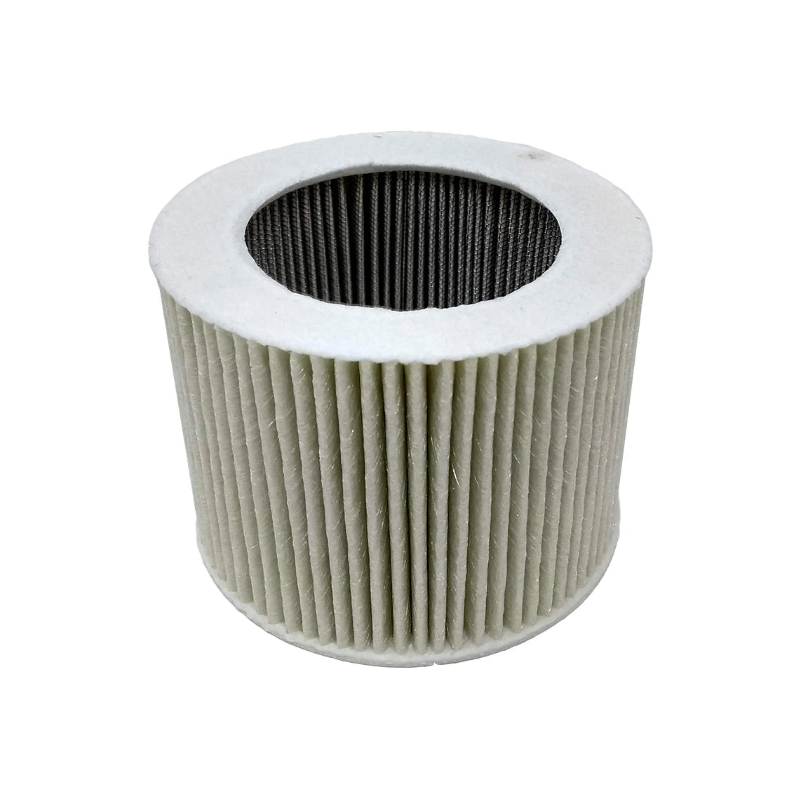 Air Filter - A1487