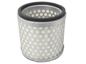 Air Filter - A2129