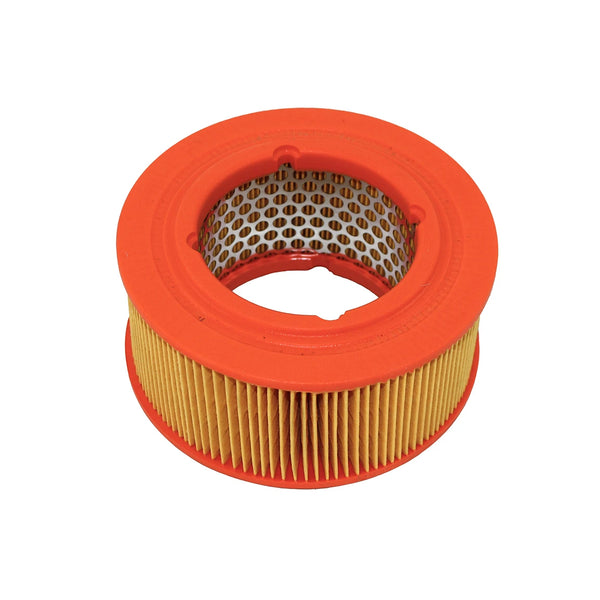 Air Filter fits most Lister Petter LPA/LPW, TR, TS, TX, P600 & AD2