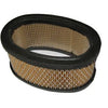 Air Filter fits Briggs & Stratton 393725 thumbnail 1