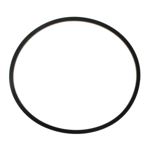SR4609 Sealing Ring