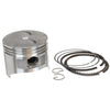 Piston & Ring Kit Assembly fits Honda GX240 thumbnail 1