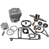Rebuild Kit fits Stihl TS400 thumbnail 1