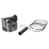 Piston & Ring Kit Assembly fits Honda GX100 - E6460 thumbnail 2