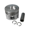 Piston Kit with Gudgeon Pins and Circlips fits Yanmar 3TNE88 4TNV88 thumbnail 1