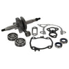 Bottom End Repair Kit Fits STIHL TS410 Crankshaft, Bearings, Gaskets - Pre 2013 thumbnail 1