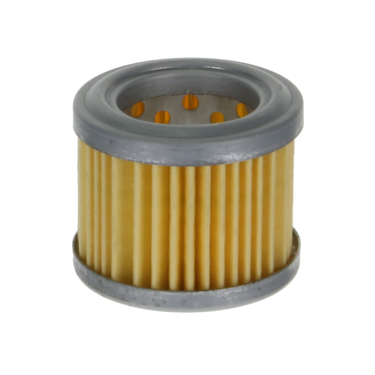 Fuel Filter - F102