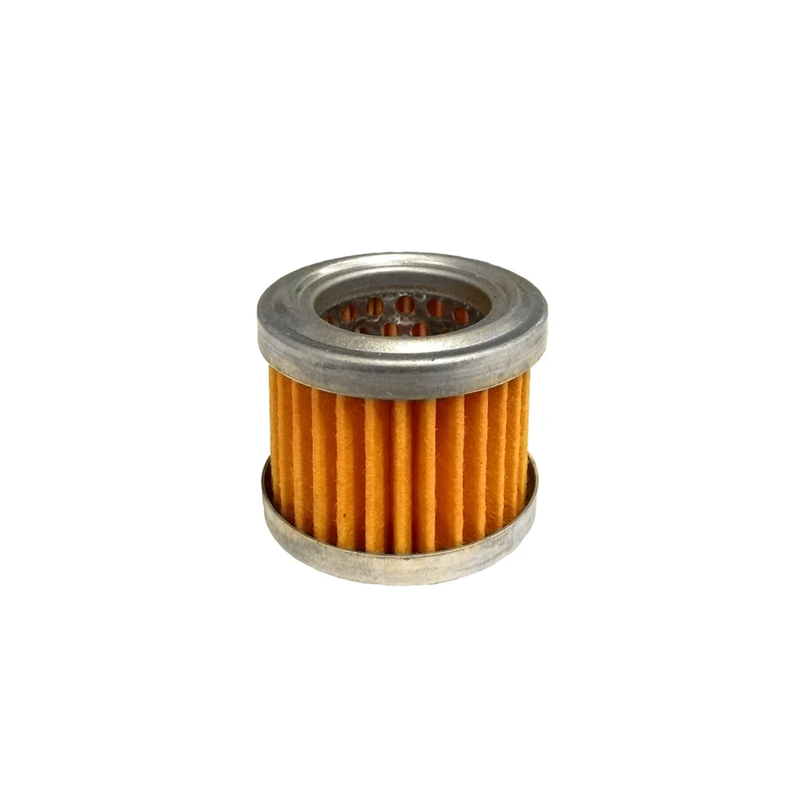 Fuel Filter - F102