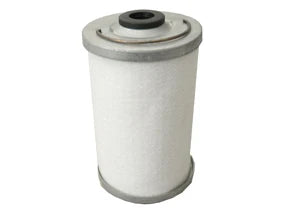 Fuel Filter - F105