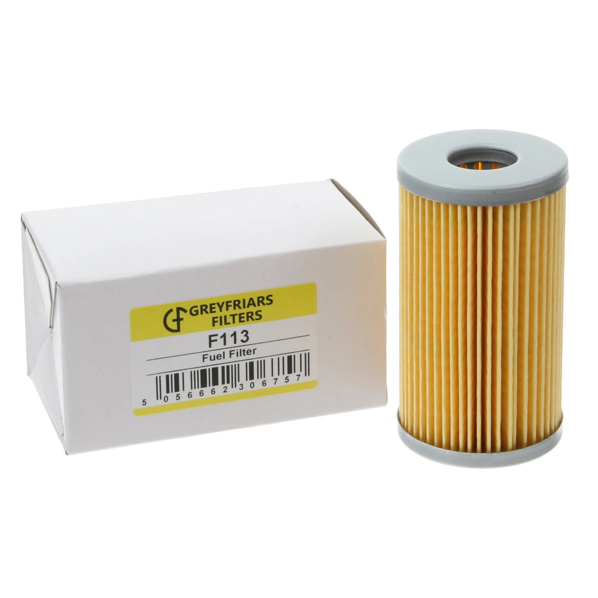 Fuel Filter - F113