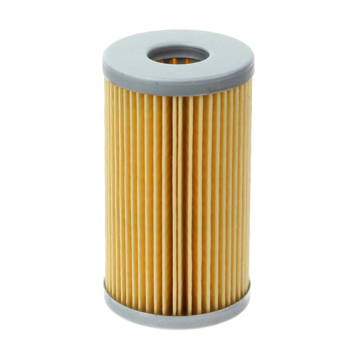 Fuel Filter - F208