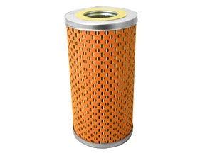 Fuel Filter - F131