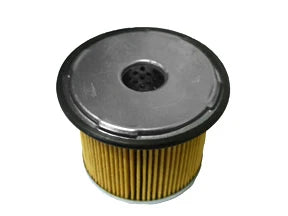 Fuel Filter - F171