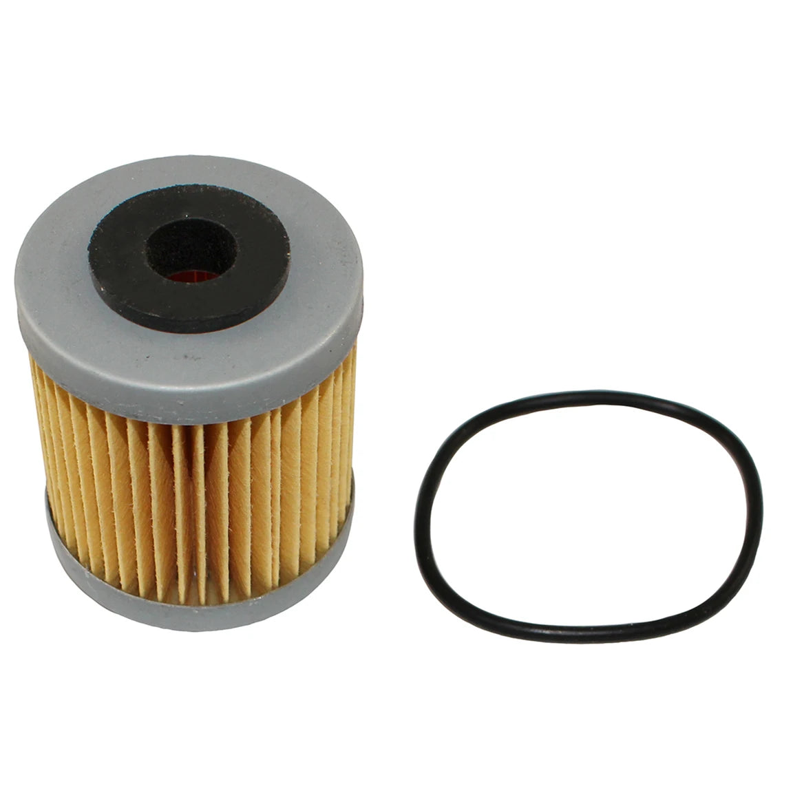 Fuel Filter - F198