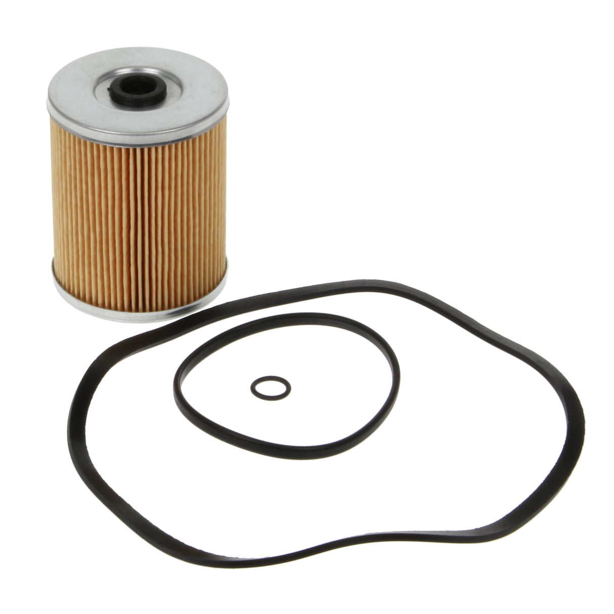 Fuel Filter - F21406