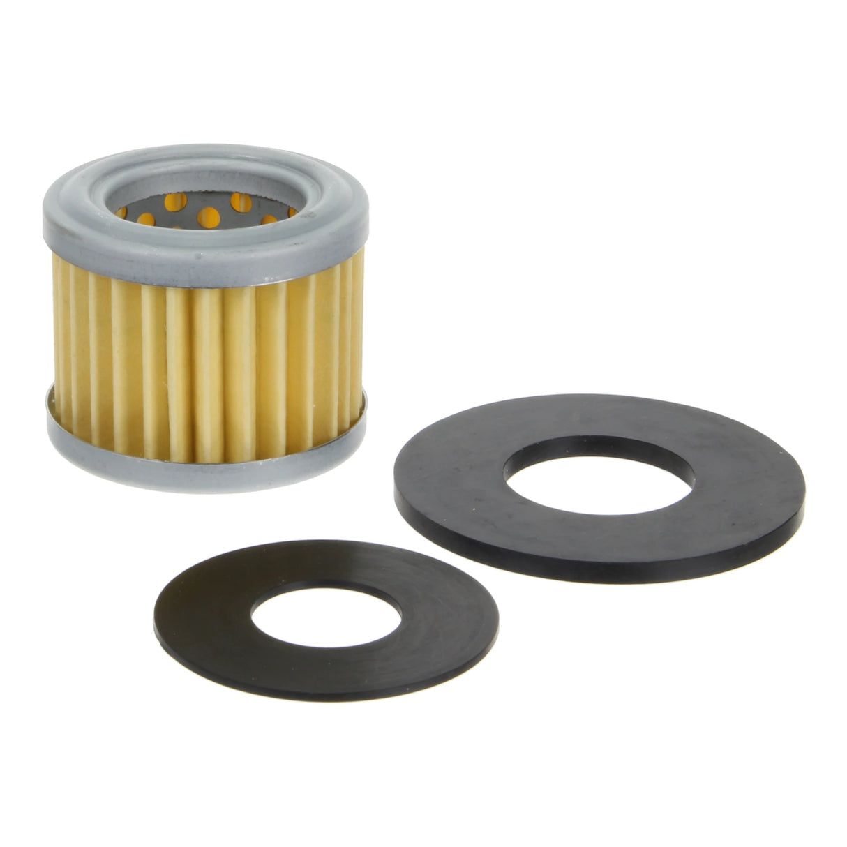 Fuel Filter - F243