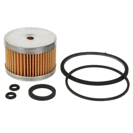 Fuel Filter for Lister Petter