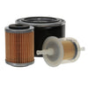 Filter Service Kit for Farymann R 10 Engine thumbnail 1