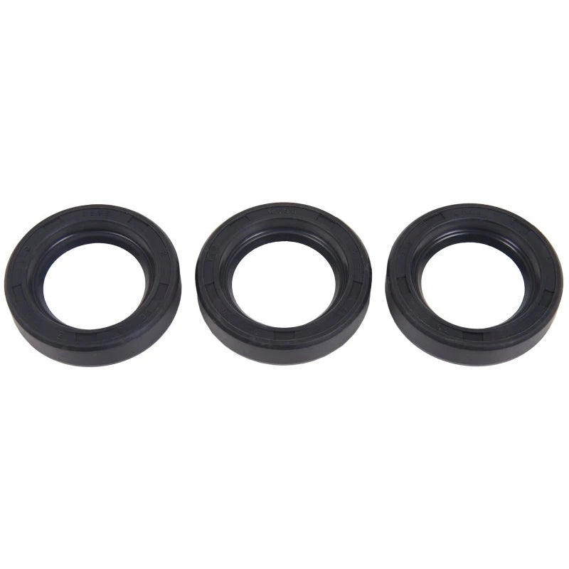 Interpump Oil Seal Kit - Suits W203