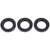Interpump Oil Seal Kit - Suits W203 thumbnail 1