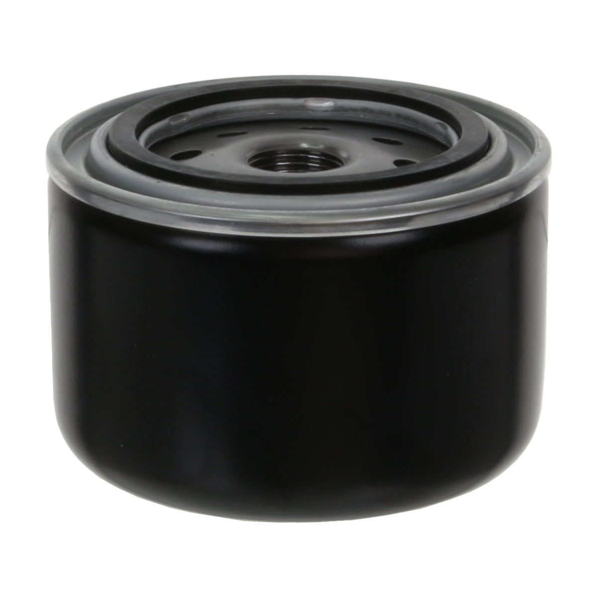 Oil Filter - P30329