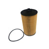 Oil Filter - P389 thumbnail 1