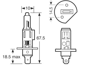 12V 55W P14.5S H1 Bulb