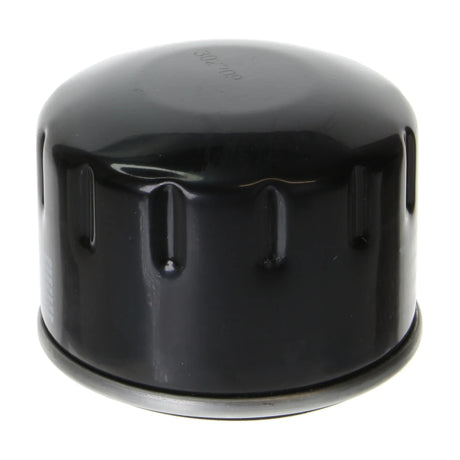 Oil Filter - S3002