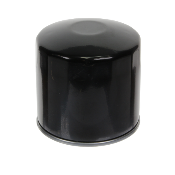 Oil Filter - S3003