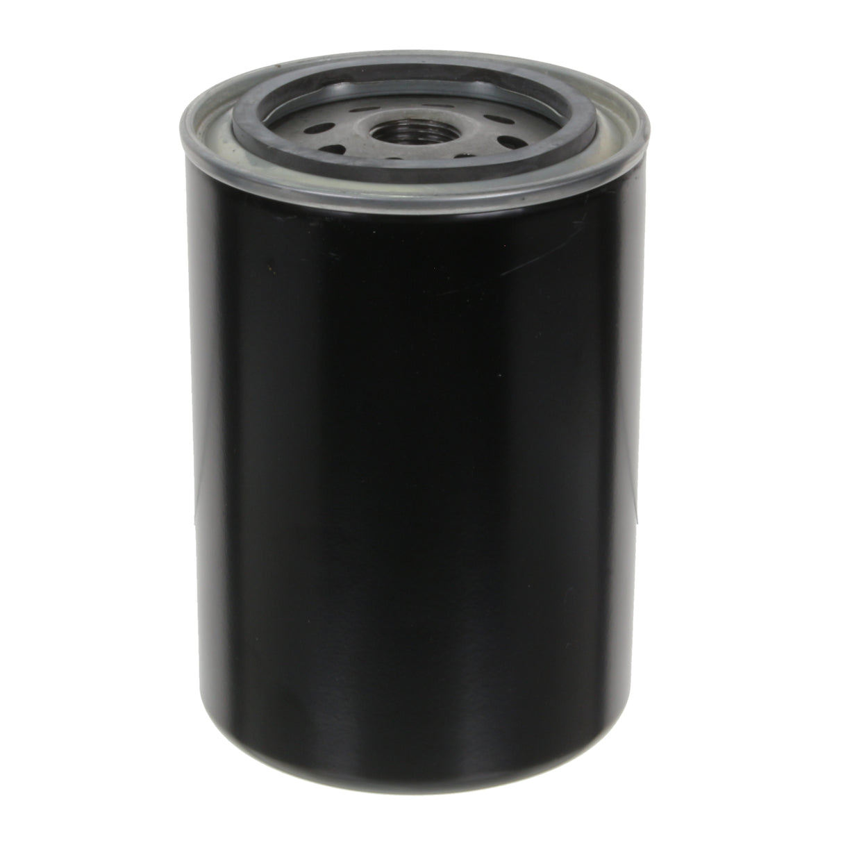 Fuel Filter - S401