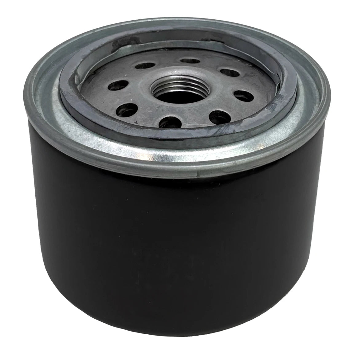 Fuel Filter - S413