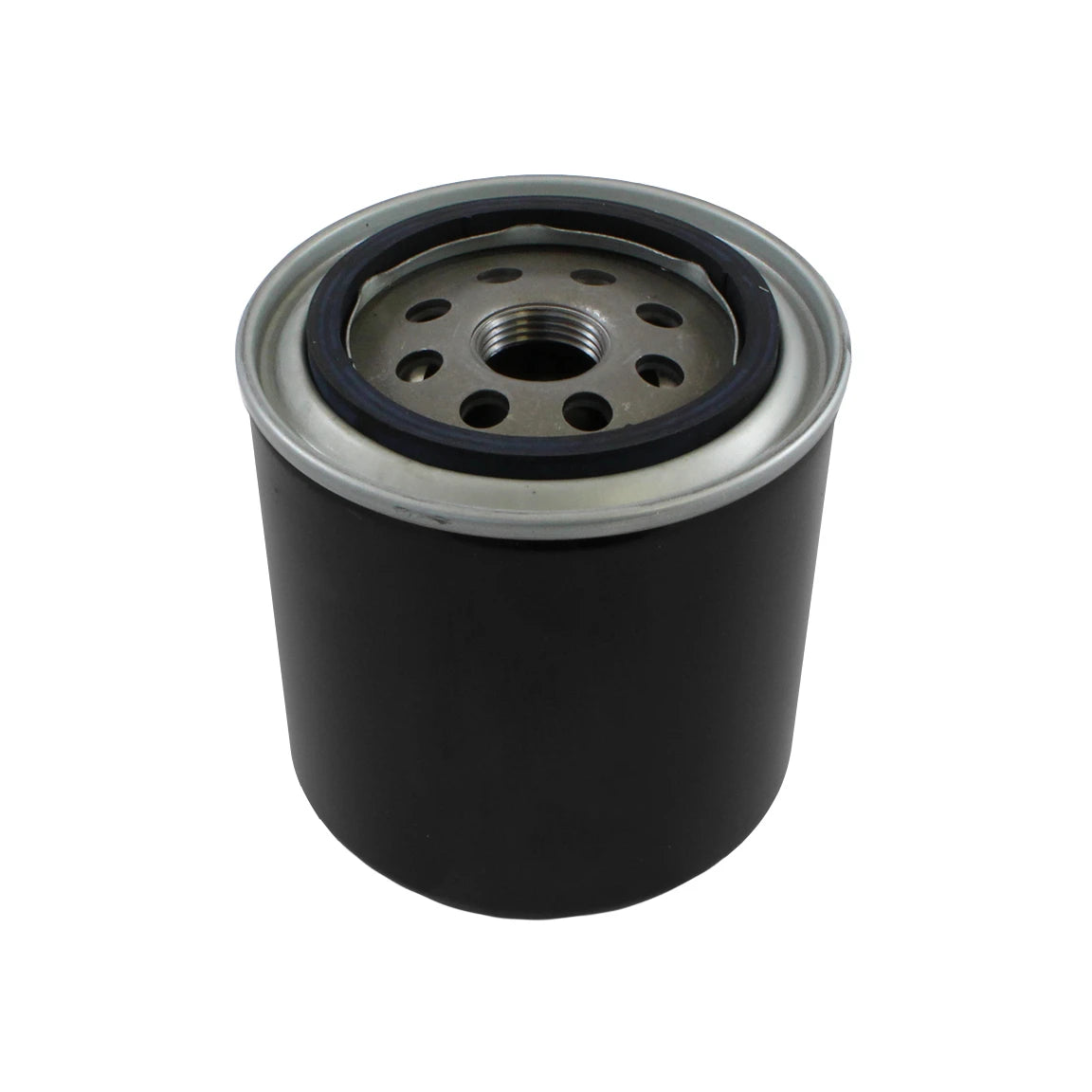 Fuel Filter - S433