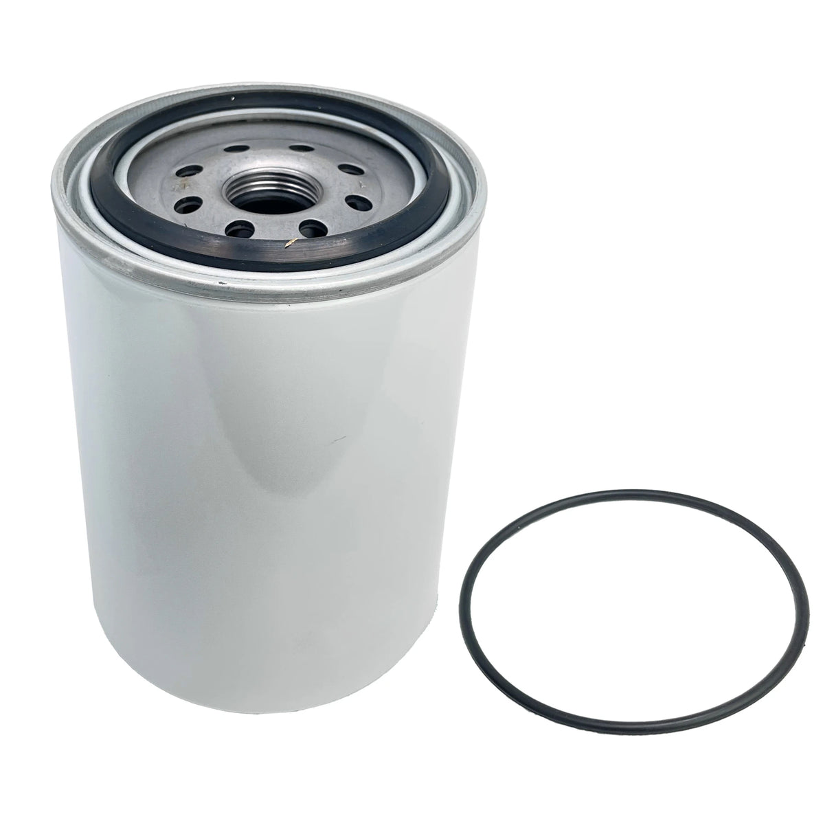 Fuel Filter - S813